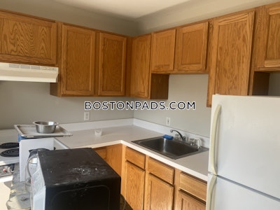 Brighton Apartment for rent 1 Bedroom 1 Bath Boston - $2,550 No Fee