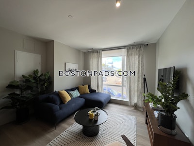 Brighton 1 Bed 1 Bath Boston - $2,924