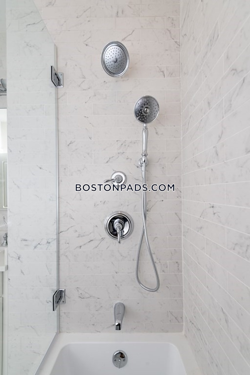 BOSTON - JAMAICA PLAIN - STONY BROOK - 2 Beds, 2 Baths - Image 14