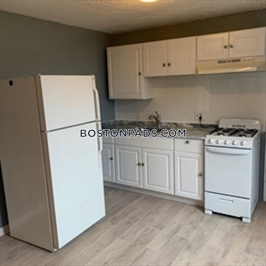 BOSTON - LOWER ALLSTON - 1 Bed, 1 Bath - Image 1