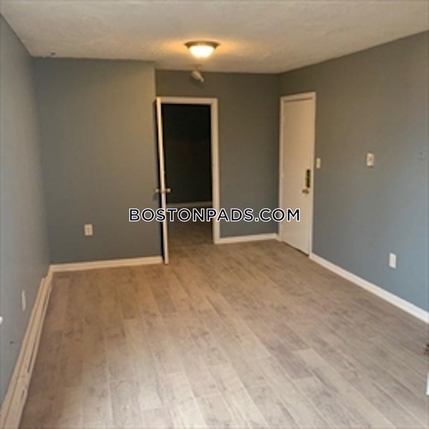 BOSTON - LOWER ALLSTON - 1 Bed, 1 Bath - Image 4