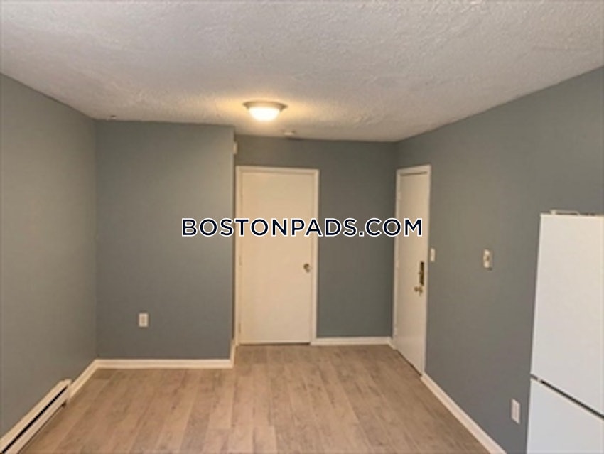 BOSTON - LOWER ALLSTON - 1 Bed, 1 Bath - Image 3