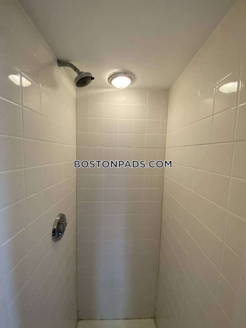 CAMBRIDGE - CENTRAL SQUARE/CAMBRIDGEPORT - 1 Bed, 1 Bath - Image 14