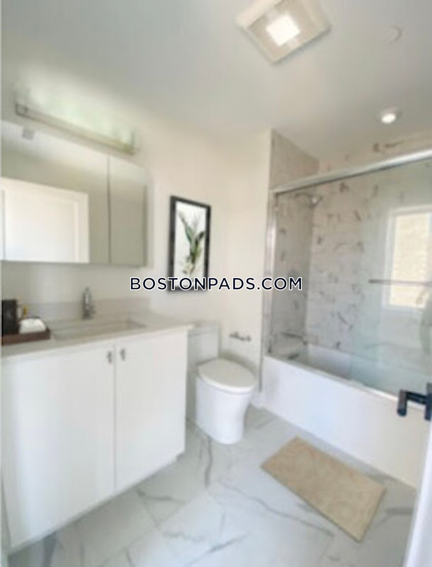 BOSTON - JAMAICA PLAIN - STONY BROOK - 1 Bed, 1 Bath - Image 9