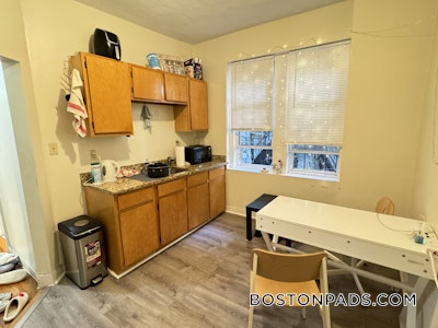 Allston/brighton Border Apartment for rent Studio 1 Bath Boston - $1,950