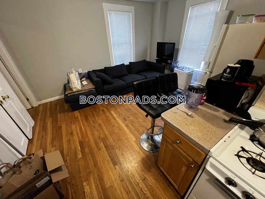 BOSTON - BRIGHTON - BRIGHTON CENTER - 1 Bed, 1 Bath - Image 2