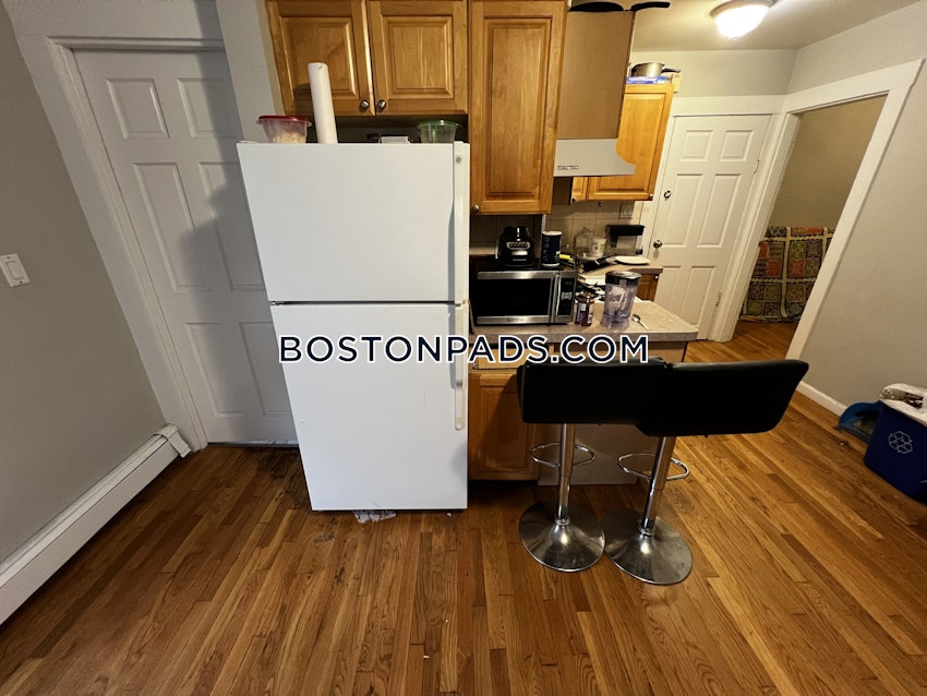 BOSTON - BRIGHTON - BRIGHTON CENTER - 1 Bed, 1 Bath - Image 14