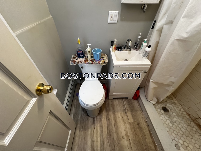 BOSTON - BRIGHTON - BRIGHTON CENTER - 1 Bed, 1 Bath - Image 13