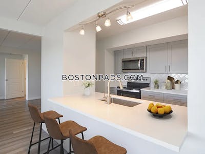 Brighton Apartment for rent 1 Bedroom 1 Bath Boston - $3,650 No Fee