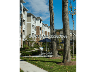 Shattuck Rd. Andover