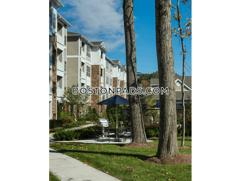 Shattuck Rd. Andover photo 32