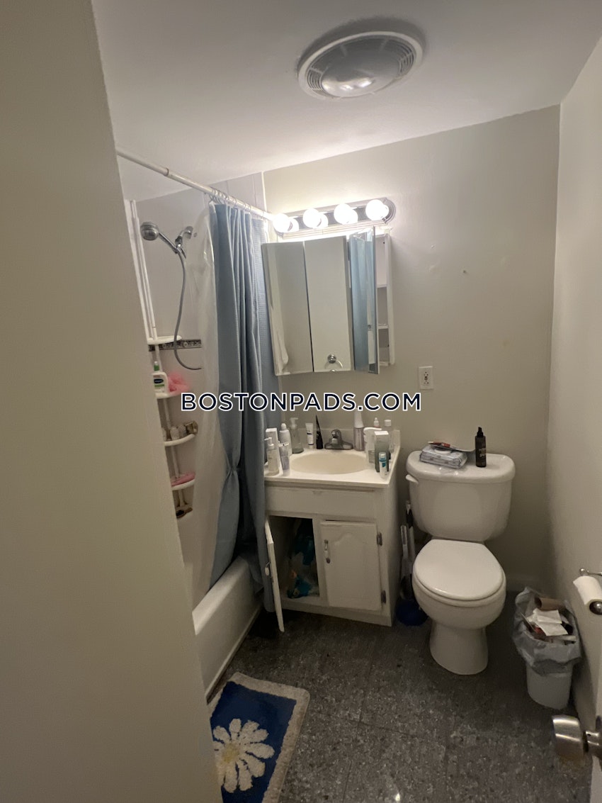 BROOKLINE- COOLIDGE CORNER - 1 Bed, 1 Bath - Image 29