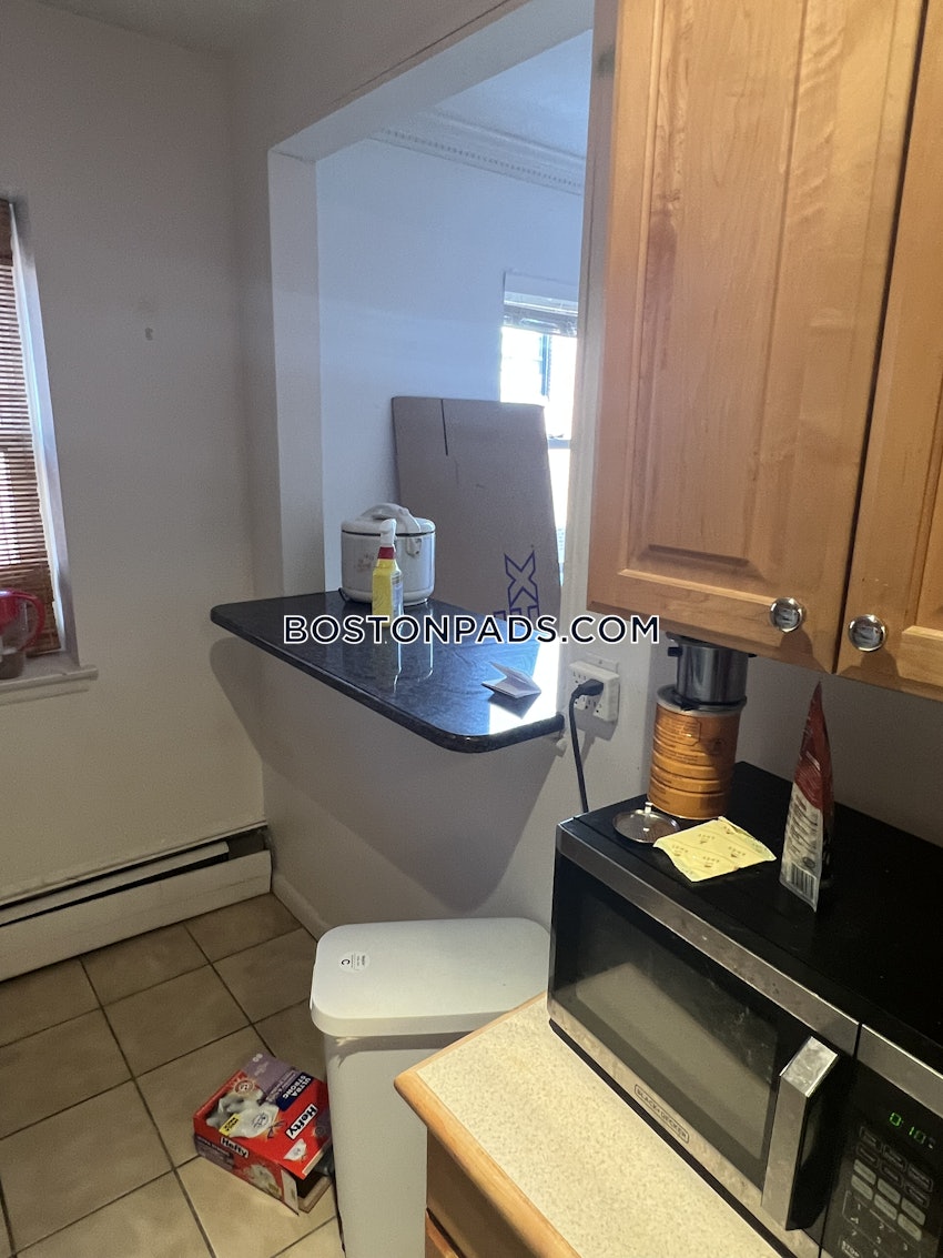 BROOKLINE- COOLIDGE CORNER - 1 Bed, 1 Bath - Image 28