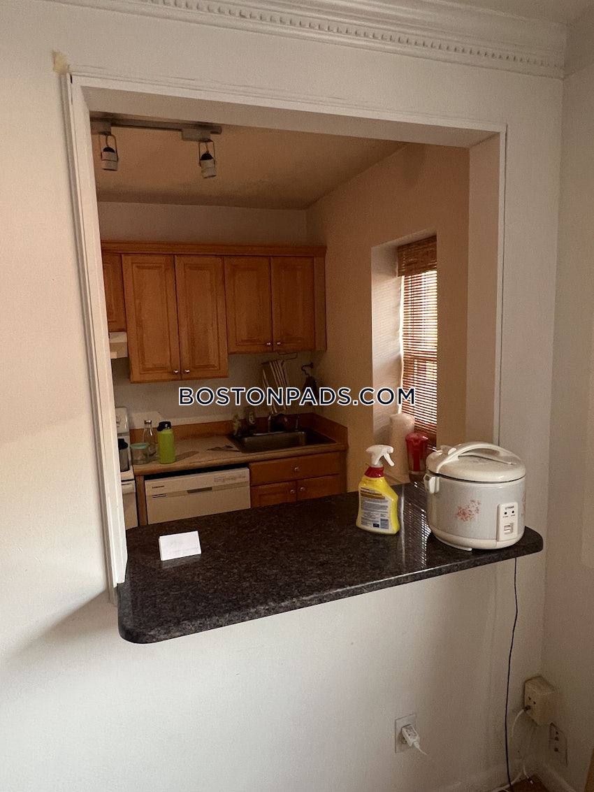 BROOKLINE- COOLIDGE CORNER - 1 Bed, 1 Bath - Image 11