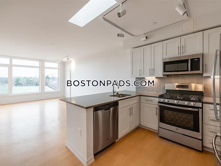 cambridge-apartment-for-rent-studio-1-bath-mt-auburnbrattle-fresh-pond-2700-8006729 