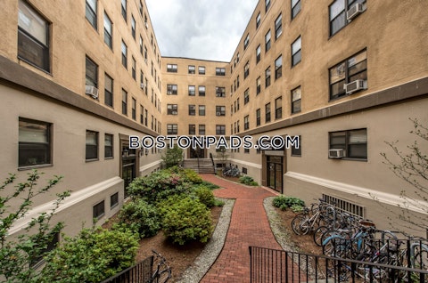 Massachusetts Ave. Cambridge photo 6