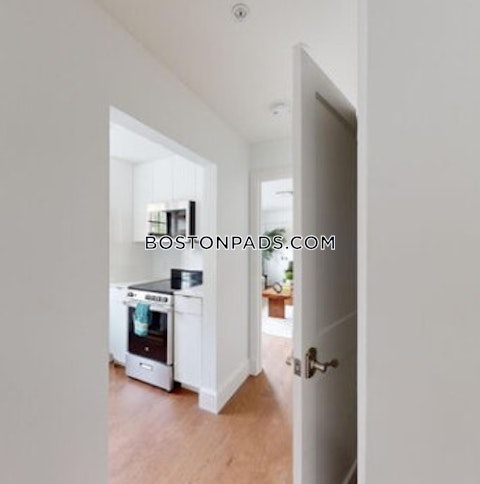 Massachusetts Ave. Cambridge photo 7