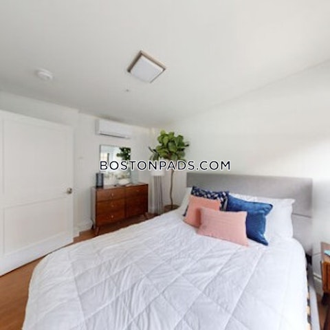 Massachusetts Ave. Cambridge photo 10