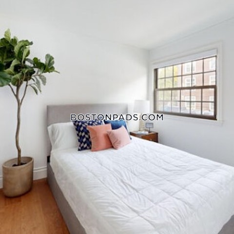 Massachusetts Ave. Cambridge photo 16