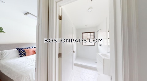 Massachusetts Ave. Cambridge photo 18