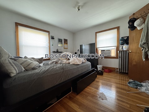 South Crescent Circuit Boston photo 15