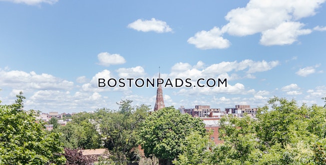 Brookline - $3,650+ /mo