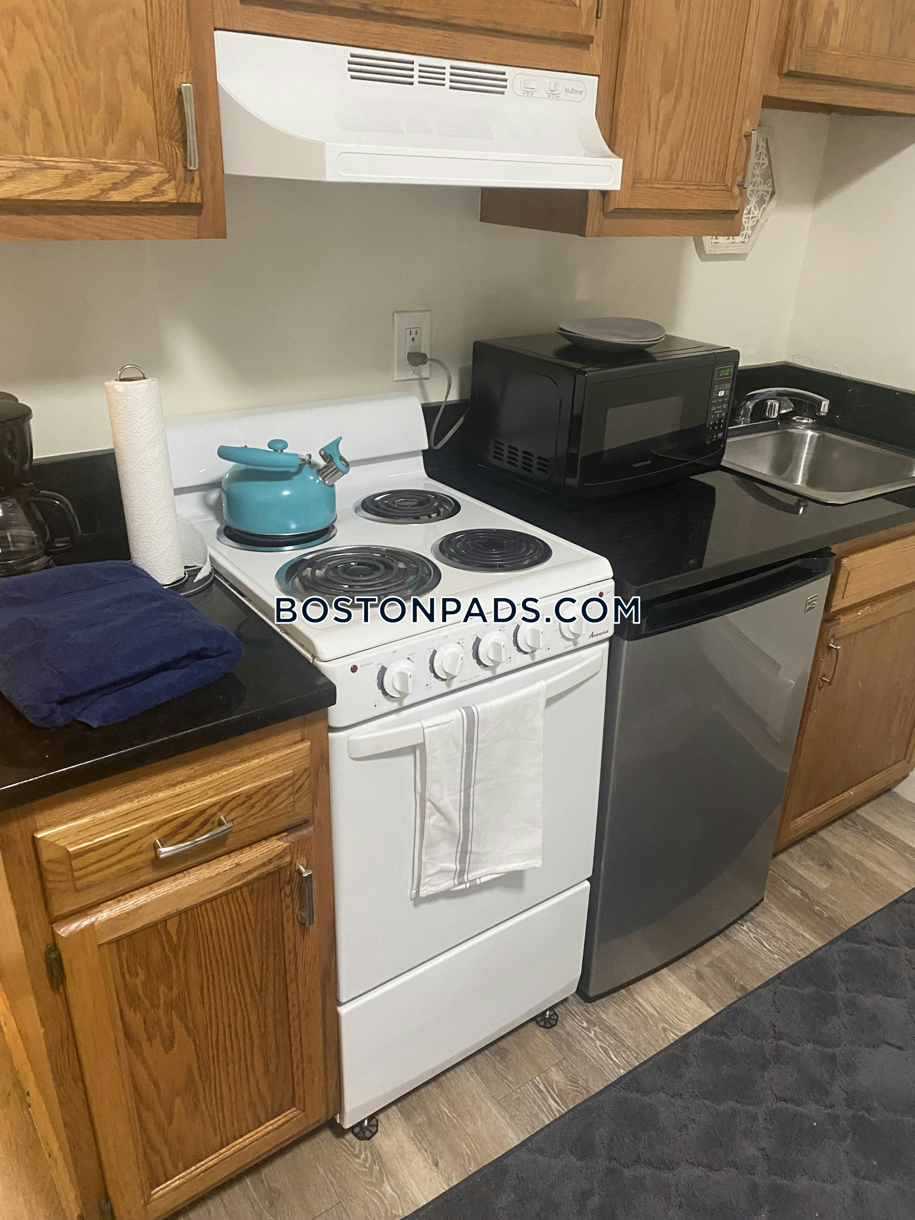 Roxbury Crossing - $1,900