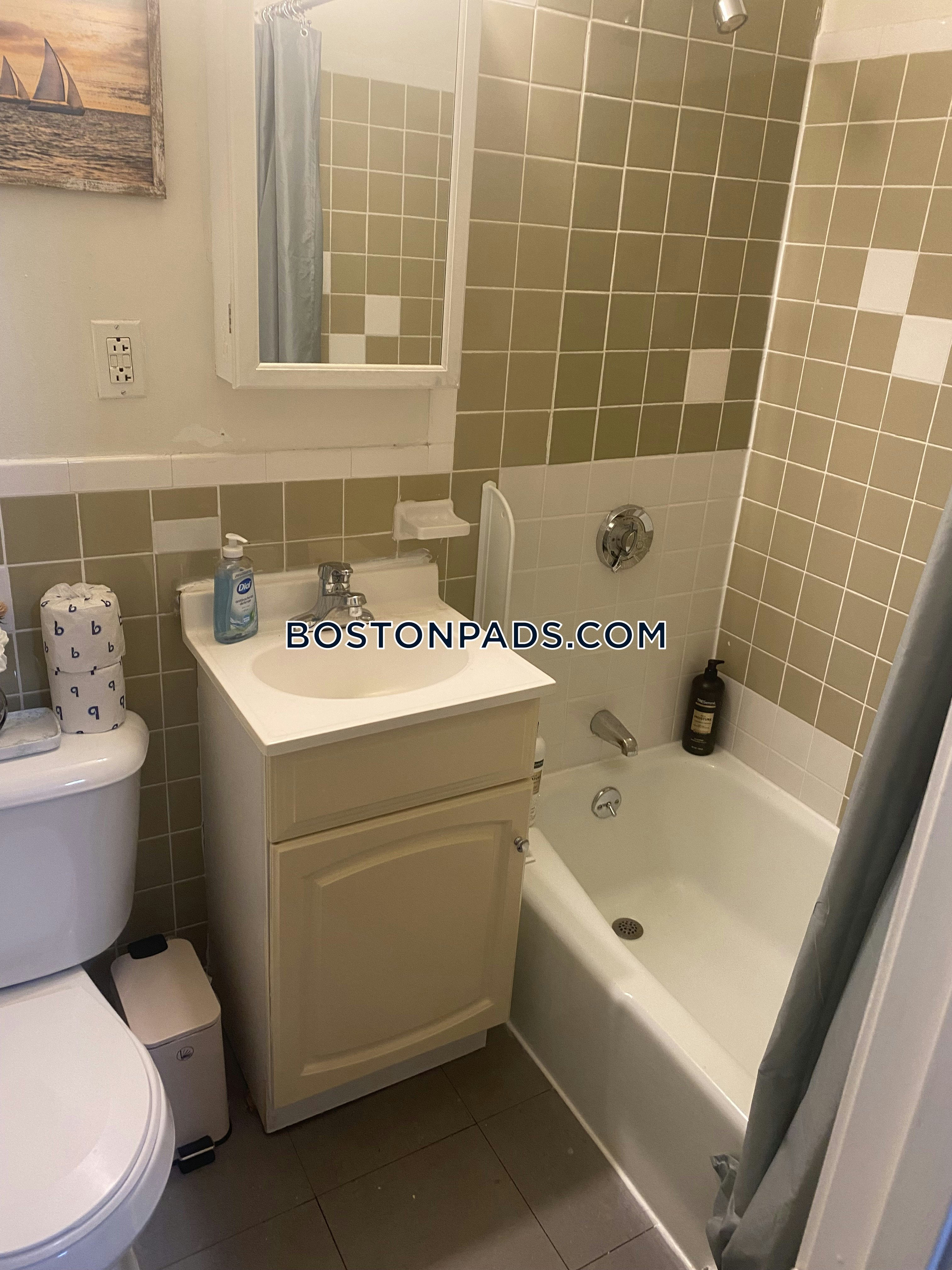 Roxbury Crossing - $1,900