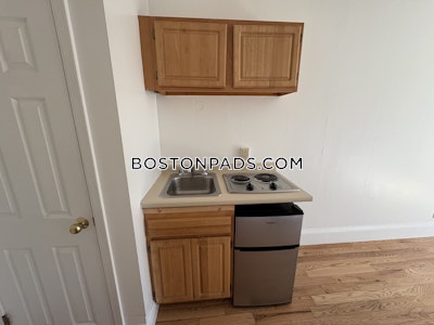 Brookline Apartment for rent Studio 1 Bath  Boston University - $1,995 No Fee