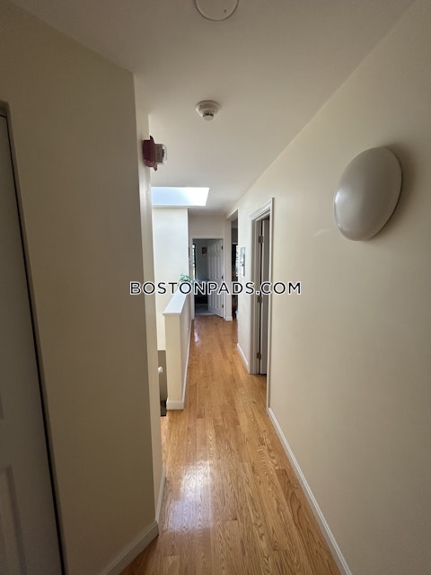 Dudley St. Boston photo 16