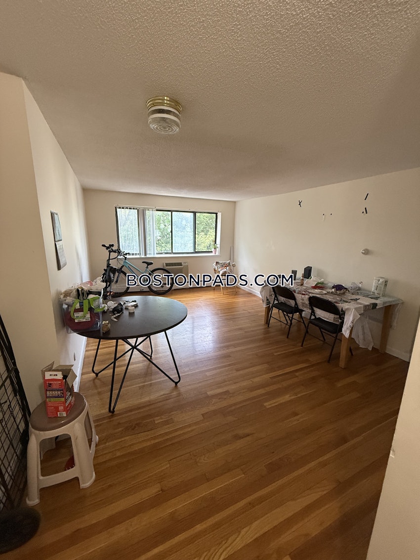 BOSTON - ALLSTON/BRIGHTON BORDER - 2 Beds, 1 Bath - Image 4