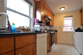 Brighton 4 Beds 2 Baths Boston - $3,700 No Fee