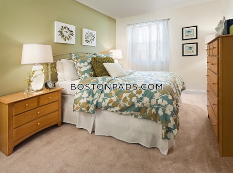 Hampden Dr. Norwood photo 5