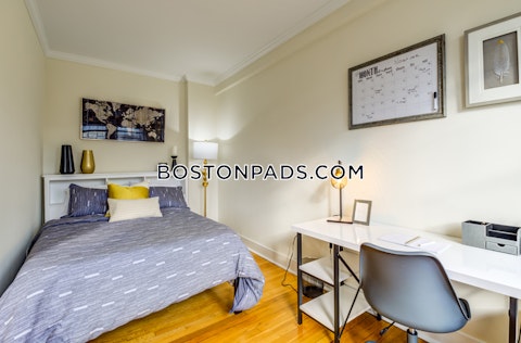 Massachusetts Ave. Cambridge photo 37