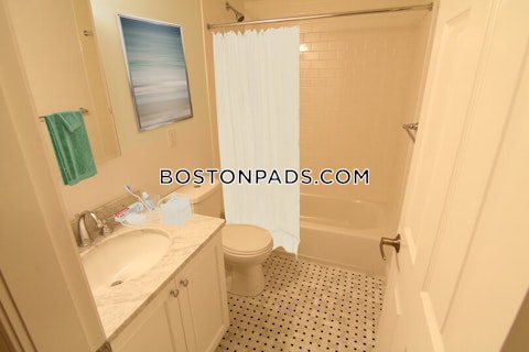 Massachusetts Ave. Cambridge photo 56