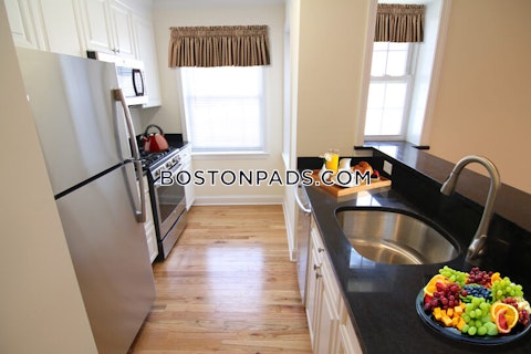 Massachusetts Ave. Cambridge photo 21