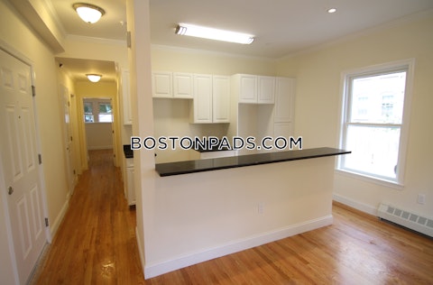 Massachusetts Ave. Cambridge photo 14