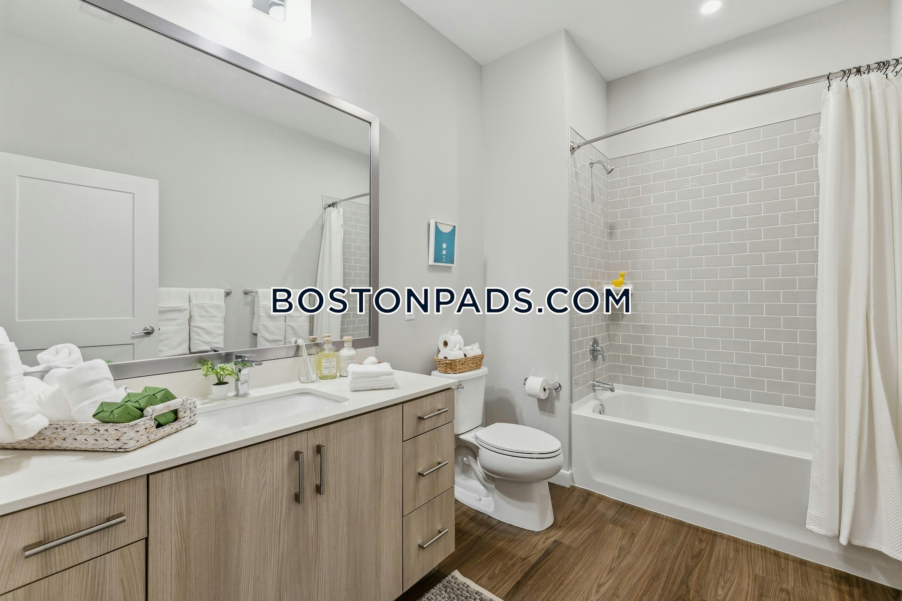 Worcester - 3 Beds, 1 Baths