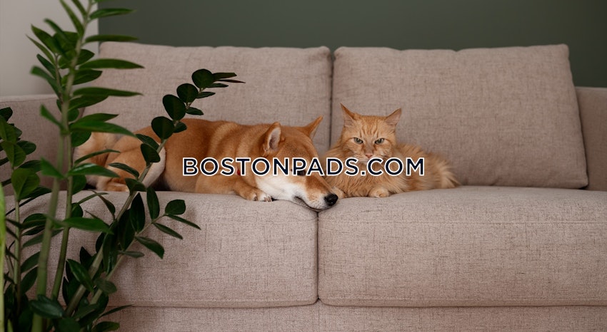 Worcester - 1 Bed, 1 Bath - Image 11