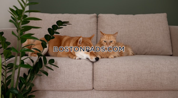 Green St., Worcester