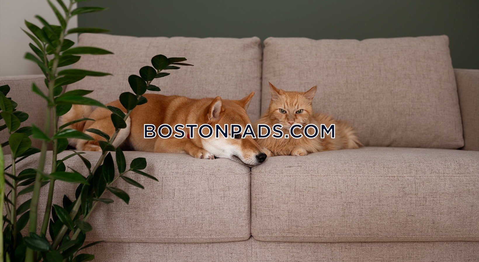 Worcester - 2 Beds, 1 Baths