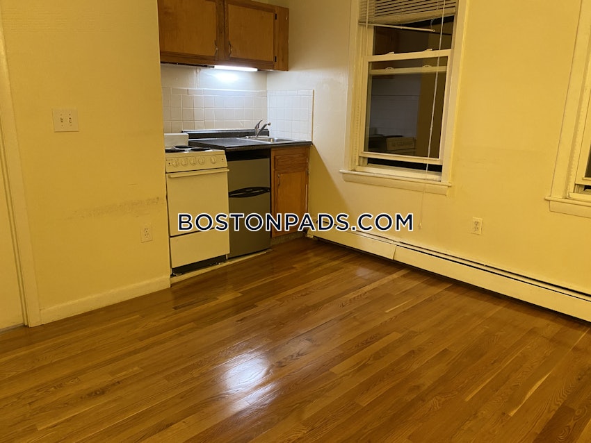 BOSTON - JAMAICA PLAIN - JAMAICA POND/PONDSIDE - Studio , 1 Bath - Image 4