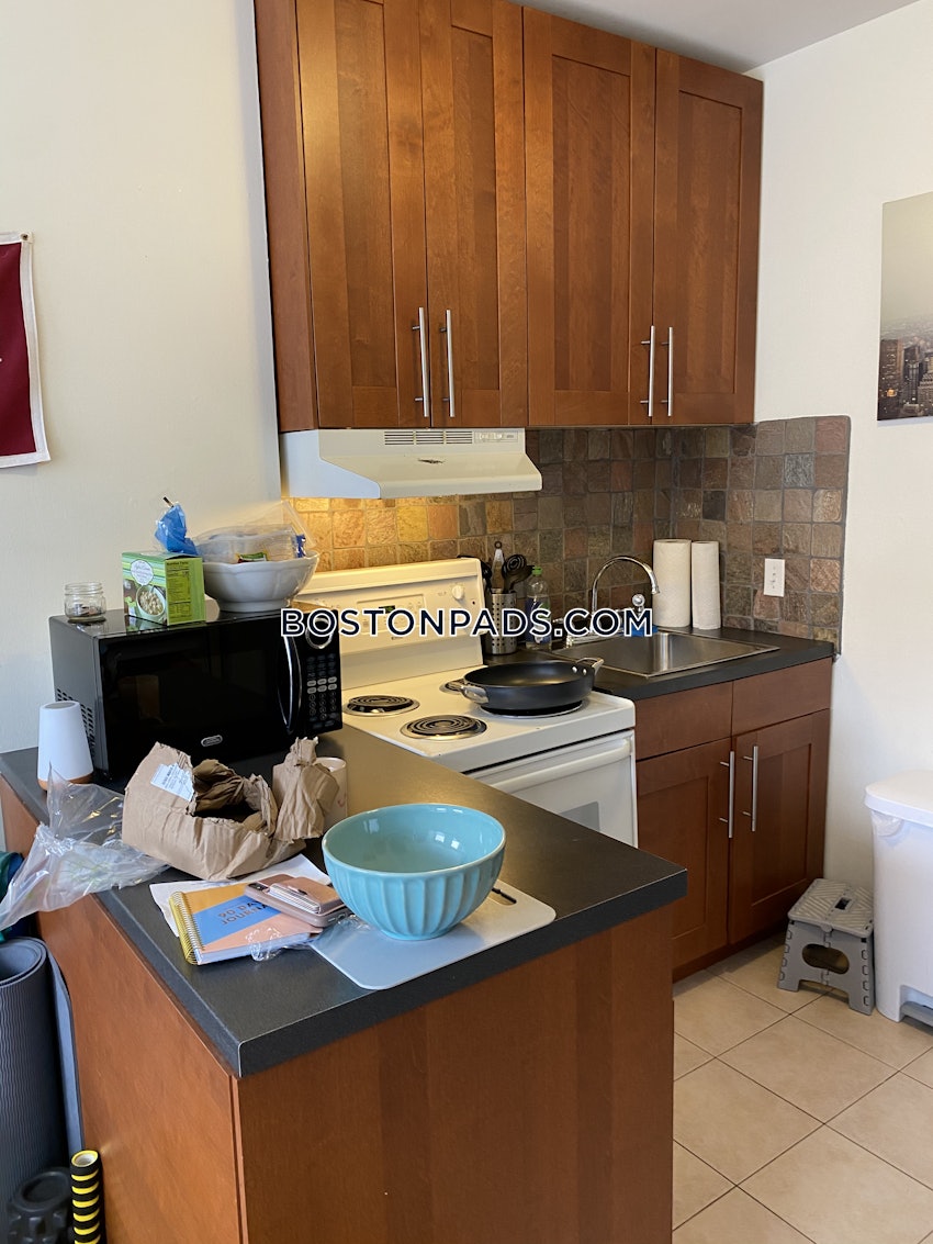 BOSTON - BACK BAY - 1 Bed, 1 Bath - Image 31