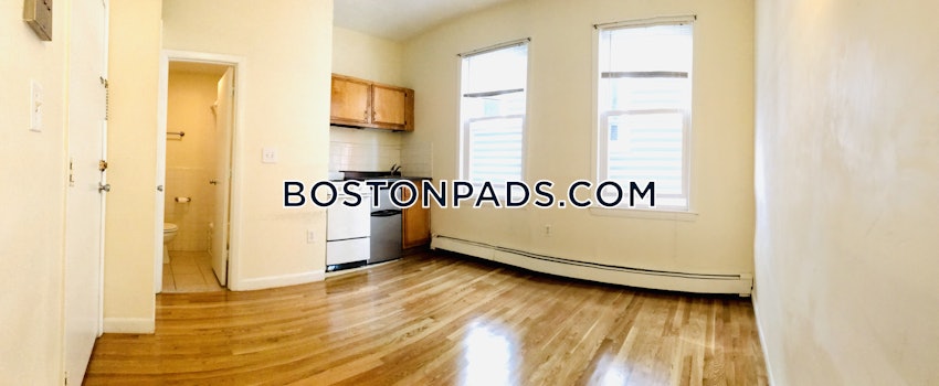 BOSTON - JAMAICA PLAIN - JAMAICA POND/PONDSIDE - Studio , 1 Bath - Image 13