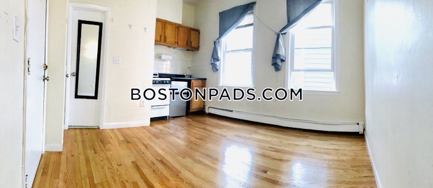 BOSTON - JAMAICA PLAIN - JAMAICA POND/PONDSIDE - Studio , 1 Bath - Image 21