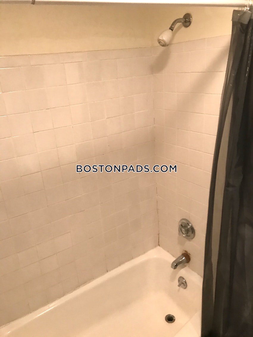 BOSTON - JAMAICA PLAIN - JAMAICA POND/PONDSIDE - Studio , 1 Bath - Image 5