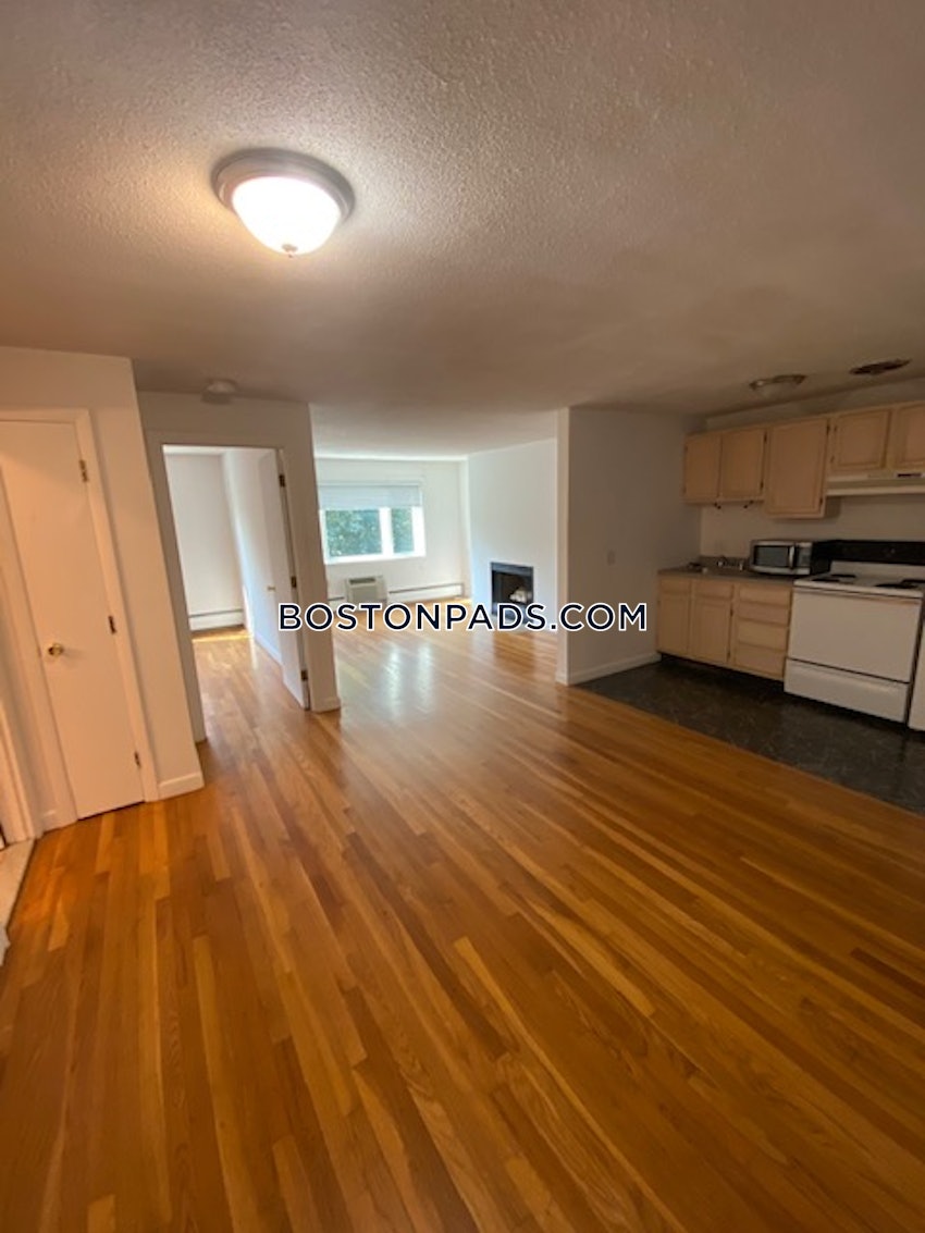 BOSTON - JAMAICA PLAIN - JAMAICA POND/PONDSIDE - 1 Bed, 1 Bath - Image 4