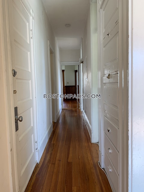 Orkney Rd. Boston photo 81