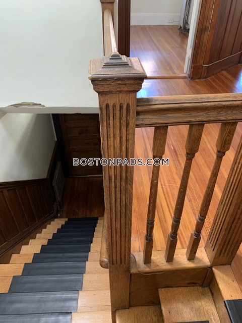 Orkney Rd. Boston photo 66