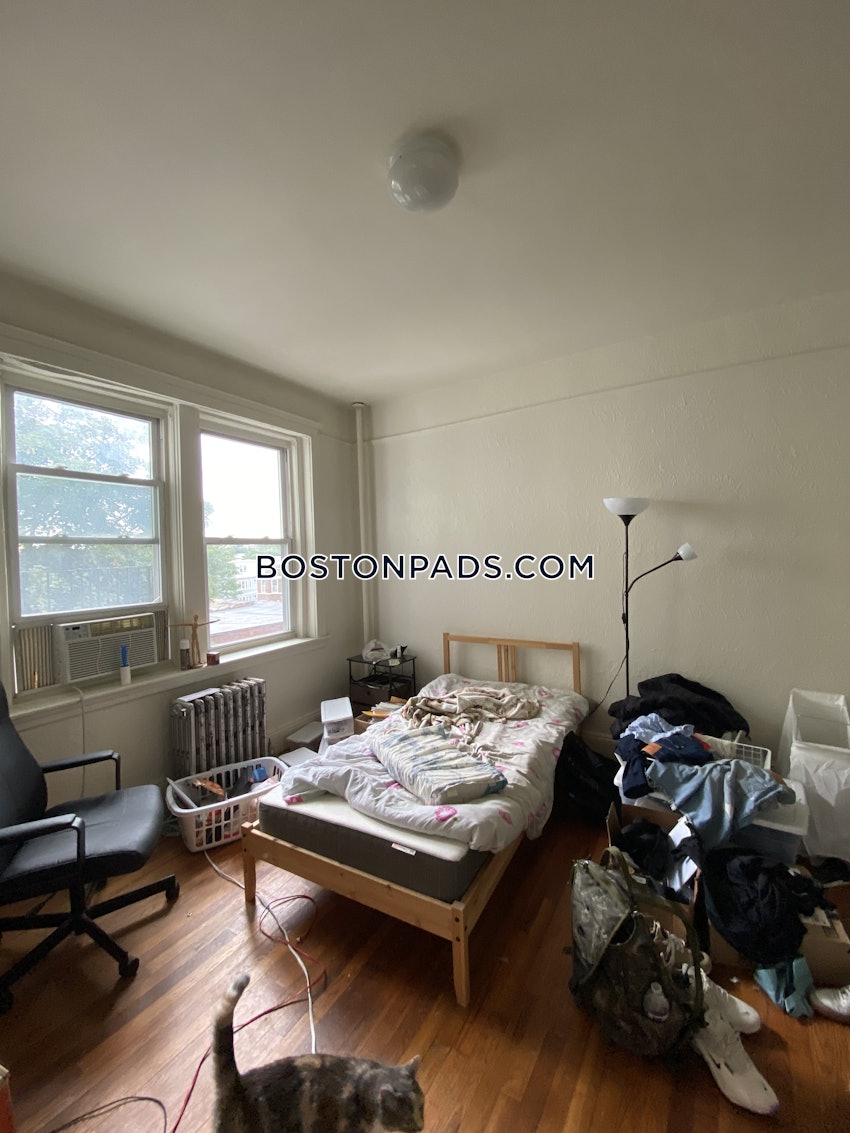 BOSTON - BRIGHTON- WASHINGTON ST./ ALLSTON ST. - 2 Beds, 1 Bath - Image 10